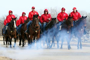 'Big Red One' mounted color guard to march in 58th Presidential Inaugural Parade