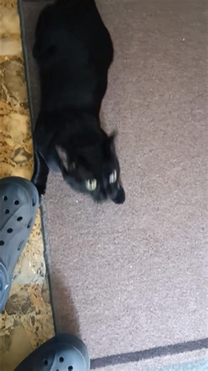 Shawn Holt on Reels | Facebook