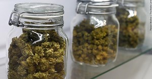 Willows City Council eases zoning rules to encourage cannabis dispensary investment