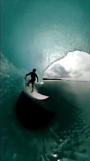 Surfing champ and artist killed by board