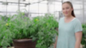 Do you know about the “finger test”? Try it on your tomato plant today and learn more watering tips right here! | Bonnie Plants