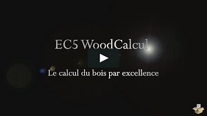 EC5 WoodCalcul : Assemblage par pointes avec bois mixte