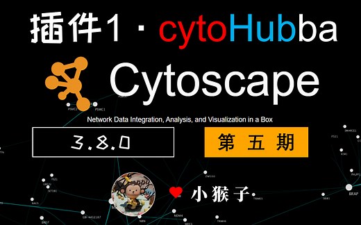 【生信分析-24】Cytoscape插件：cytoHubba使用