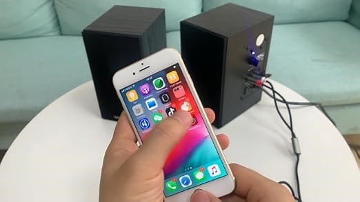 Smart phone (lOS system) devices use RCA audio cables.