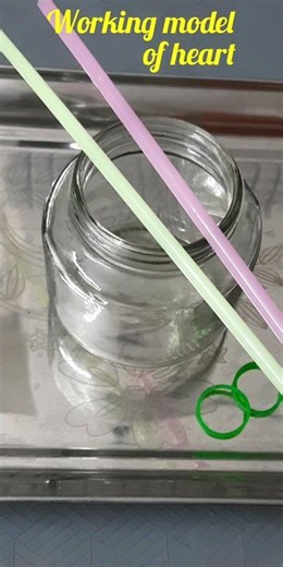 Pumping heart working model #shortsvideo #experiment #ytshorts #viral #heart #humanbody #science