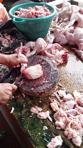 Chicken Chopping for Beginners: A Step-by-Step Guide