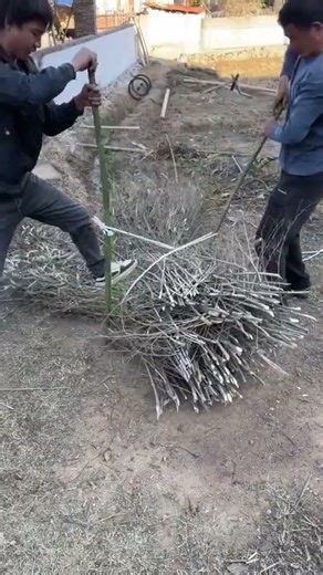 Wow, I just learned how to tighten the rope to the pile of firewood. #shorts