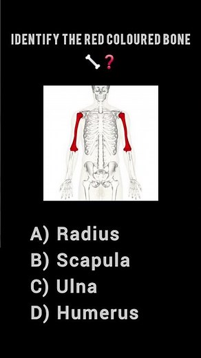 Identify the Red-Coloured Bone 💀 | Anatomy Quiz | Easy Skeletal System Quiz | Physio Restore Revive