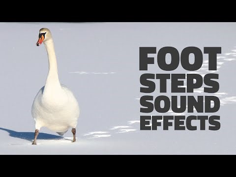 FOOTSTEPS Sound Effects｜腳步聲音效｜Sound Effects Studio｜Royalty Free｜HD