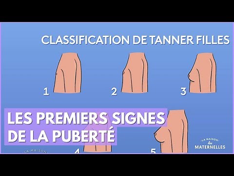 Les premiers signes de la puberté - La Maison des maternelles #LMDM