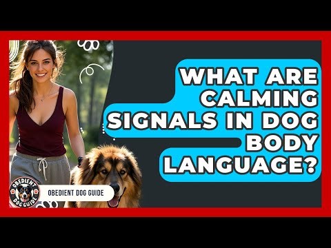 What Are Calming Signals In Dog Body Language? - Obedient Dog Guide