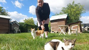 L’école du chat de Reims, une association mobilisée contre la prolifération des chats errants