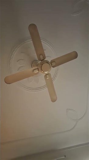 ♥️🤣🤣🤣🤣🤣♥️