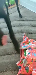 5.4K views · 252 reactions | Hello everyone. Well I had a lovely day...