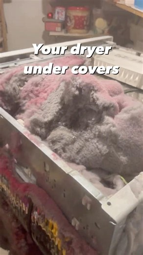 This is your DRYER, ew! 🤮 Clean it NOW! #Dryer #Cleaning #Dust