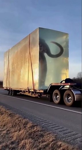 Mammoth Perfectly Preserved