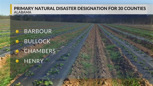 Alabama drought declared natural disaster by USDA