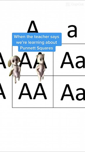 #punnettsquare #biology #funny