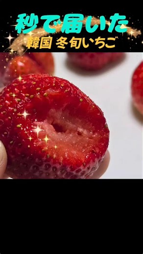 韓国 🍓 秒で届いた「冬旬いちご」が凄すぎる…!
