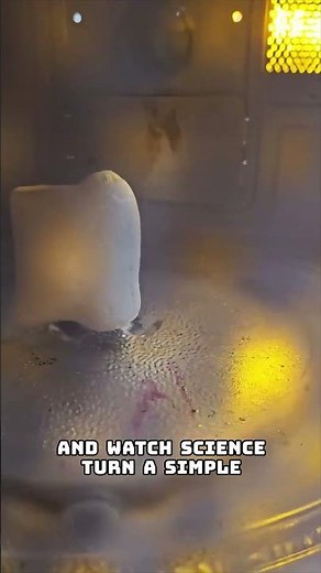 The Marshmallow Growth Experiment