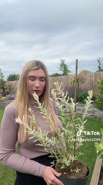 Kelly | Home & Lifestyle on TikTok
