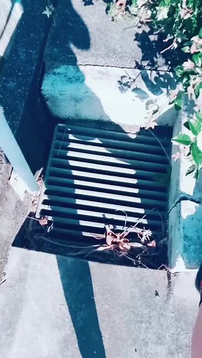 Ryan Corner (@ryancorner0)’s videos with original sound - Ryan Corner