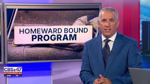 Jacksonville police call homeless relocation program a success nearly a year later