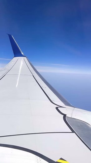 Amazon airplane travel must-haves! ✈️ #amazon #travel #viral #airplane #vacation | Everything Envy