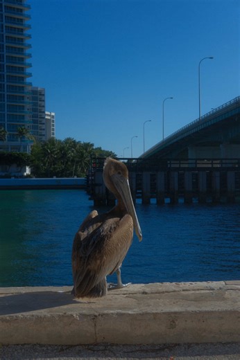Creative Baby Doll Makeup Tutorial