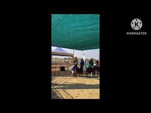 goat farming in Namibia