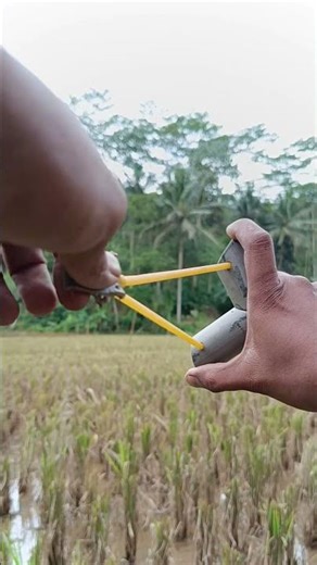 next catapult #diyslingshot #catapults #experiment #outdoors