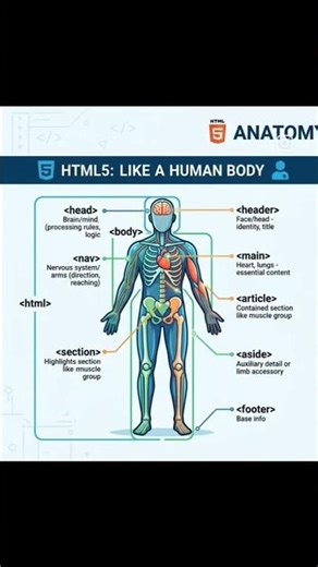 Introduction to html key tags #coder ,#coding life ,#programming,#ai