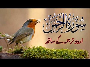 Surah Rahman with Urdu Translation | Beautiful Quran Tilawat by Qari Abdul Basit | سورۃ الرح | 155