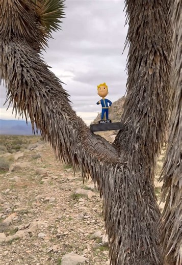 Exploring the Mojave: Fallout Adventures Unleashed