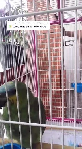 Pam Amorim no TikTok