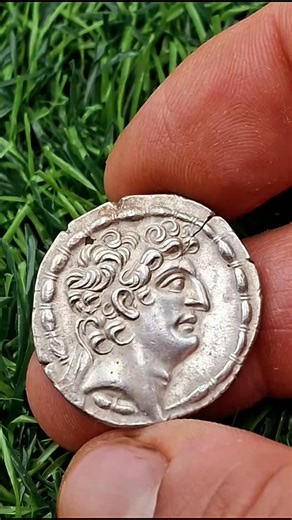 {Artemis collection} on Instagram: "Antiochus VIII Epiphanes/Callinicus/Philometor, nicknamed Grypus (Greek: Γρυπός, "hook-nose"), was the ruler of the Hellenistic Seleucid Empire from 125 to 96 BC. He was the younger son of Demetrius II and Cleopatra Thea. He may have spent his early life in Athens and returned to Syria after the deaths of his father and brother Seleucus V. At first he was joint ruler with his mother. Fearing her influence, Antiochus VIII had Cleopatra Thea poisoned in 121 BC.I