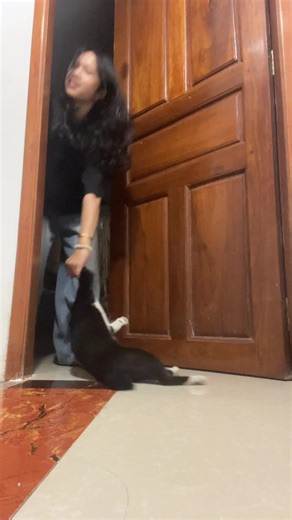 Norm Cat's 24-Hour Challenge