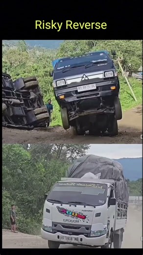 Risky Reverse by Mini truck #lorry #automobile