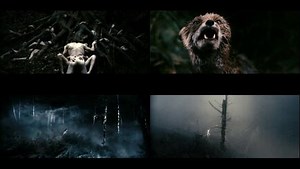 European Extreme Cinema