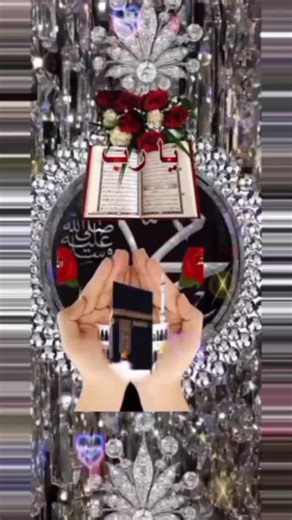 amir Hamza dhola on TikTok