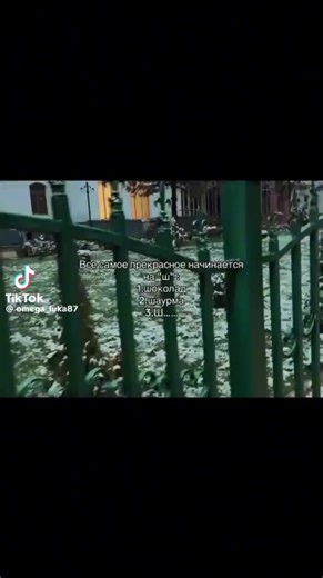 #рофлы #шоколашка