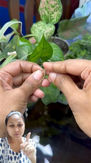 #hack #hairstyle #styling #shortvideo #shorts #trending #trendingshorts #viralvideo #youtubeshorts