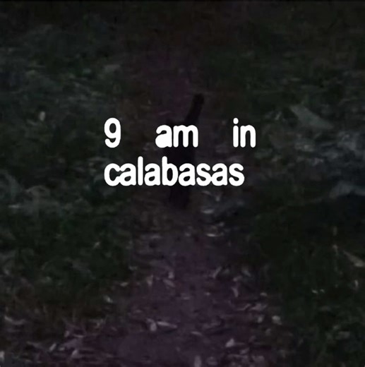 9 AM in Calabasas: Playboi Carti Unreleased Track