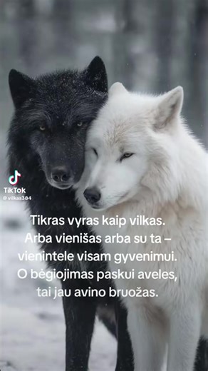 Dovydas Boss👊🇱🇹🇱🇹🔥 (@dovydasboss1997)’s videos with original sound - Dovydas Boss👊🇱🇹🇱🇹🔥