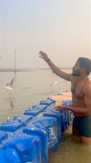 Triveni #jpfitness #sangam #triveni #pryagraj #youtube #subscribe #shorts