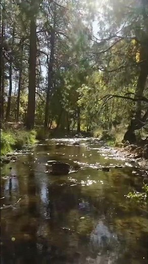 Ruidoso, NM Fall road Trip | Road trip in the mountains #discoverruidoso #newmexicotrue #roadtrip