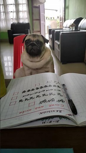 Doodle learning Math 😂