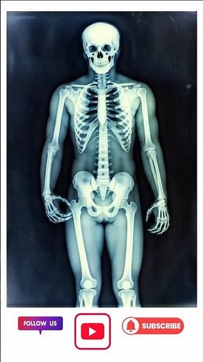 Dancing Skeleton X-Ray | Animated Bone Moves