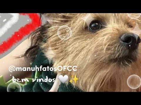 Jogando jogos diferentes do roblox com minha amiga da vida real ! 🤍✨️ | manuhfatosOFCC