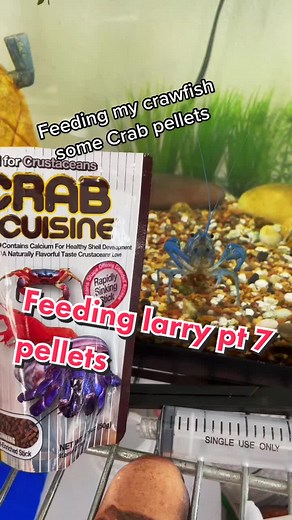 What Do Crawfish Eat? Pellets and More Revealed!